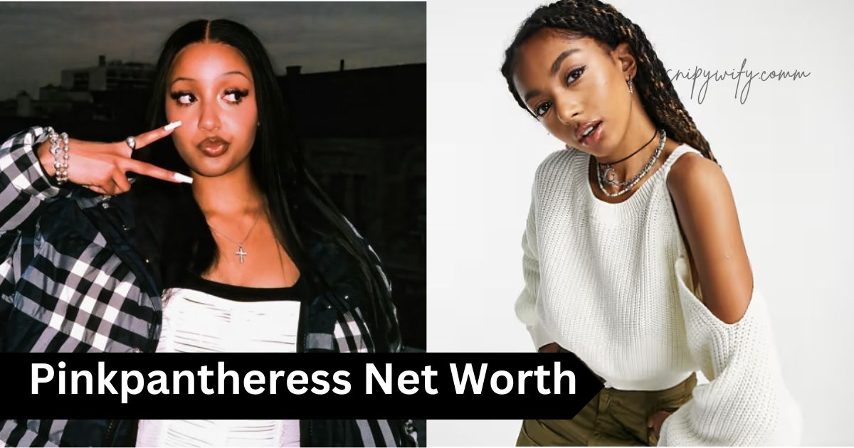 Pinkpantheress Net Worth